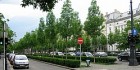 Rīga nav pietiekami zaļa pilsēta