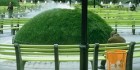 Pilsētplānošana vēlreiz jāpārdomā «zaļi»