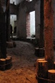 LabiChampi-6.jpg