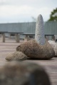 Foto: Gvido Kajons