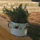 SeeSaw PlayGrow. Serbija. 