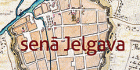 Senā Jelgava grāmatā