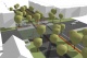 Lineārais parks un tipveida dzīvokļu ēkas renovācijas projekts Rakverē